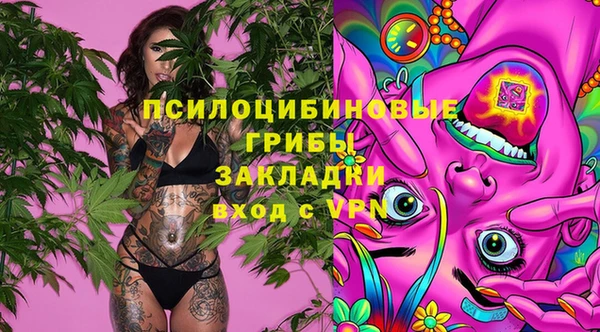 спайс Медвежьегорск