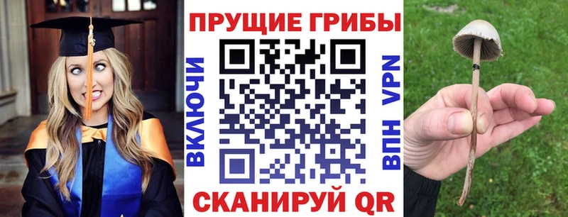 Галлюциногенные грибы прущие грибы магазин Ачинск