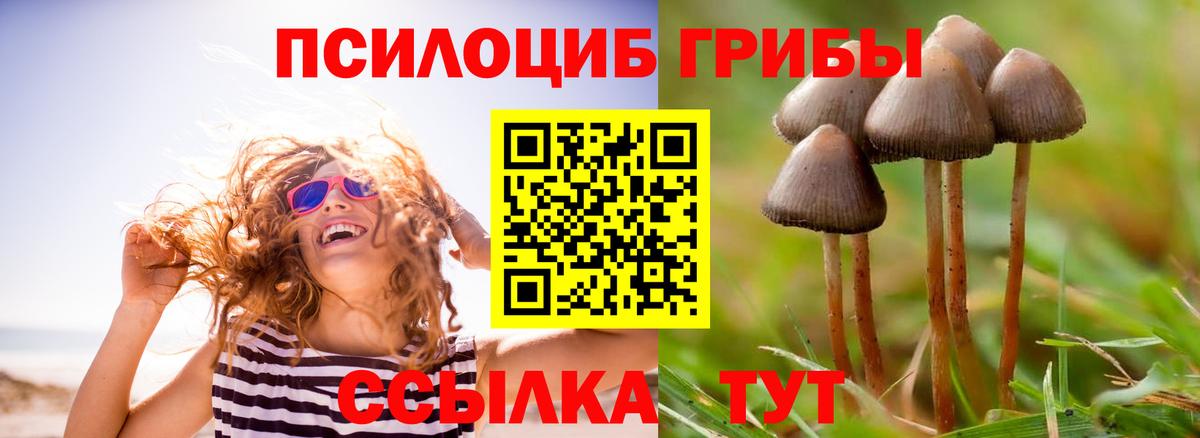 Псилоцибиновые грибы мухоморы Ачинск